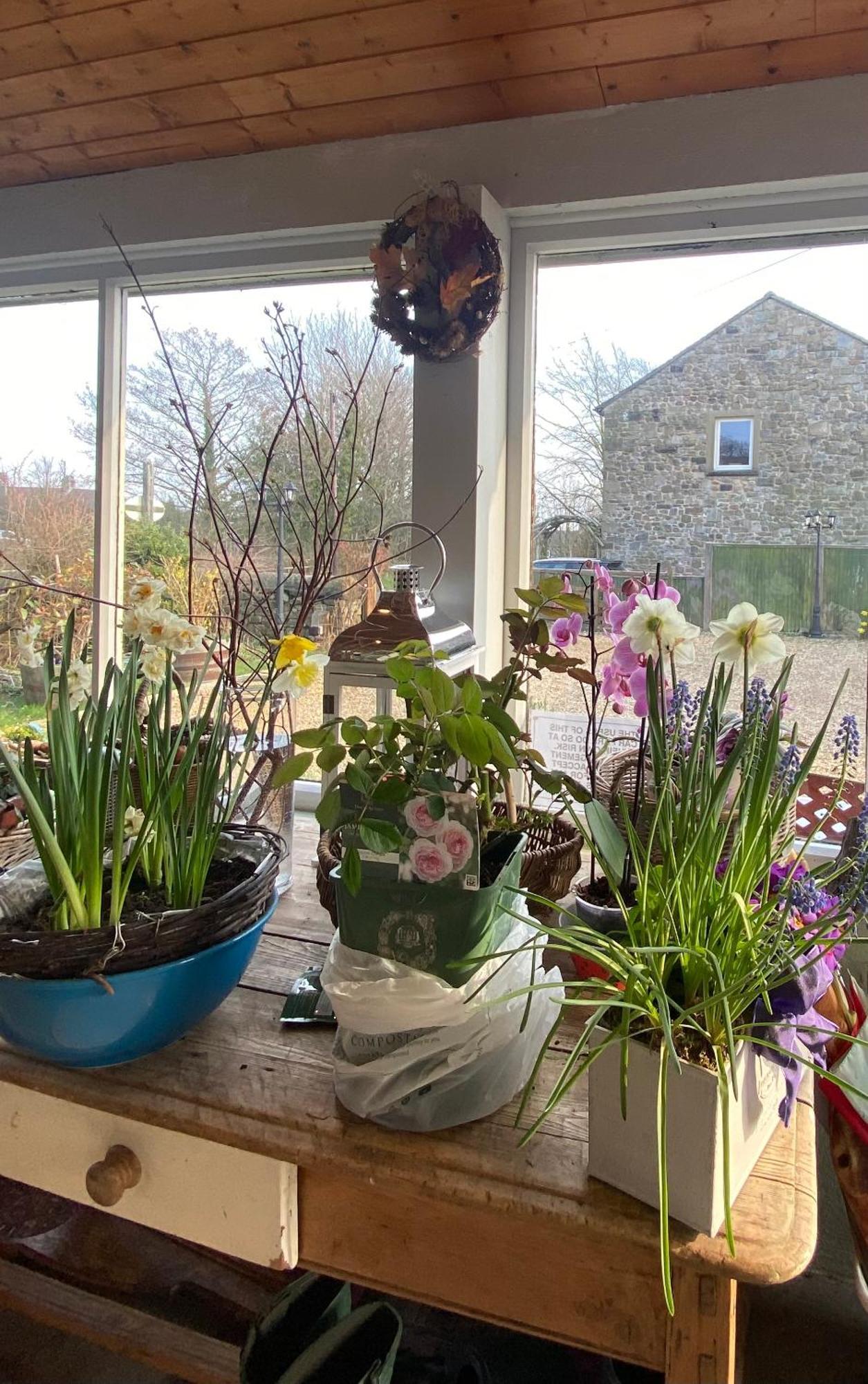 Chapel Cottage Clitheroe Road Waddington  Eksteriør billede