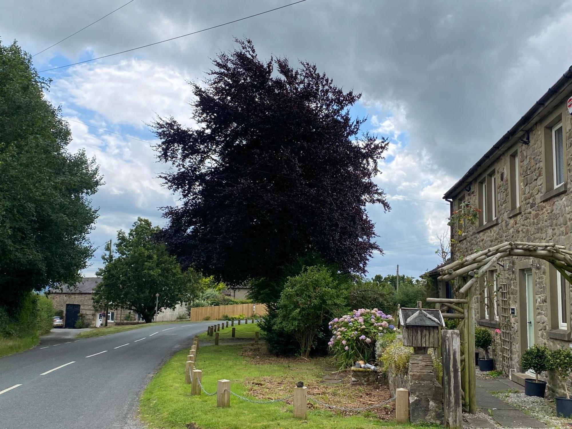 Chapel Cottage Clitheroe Road Waddington  Eksteriør billede